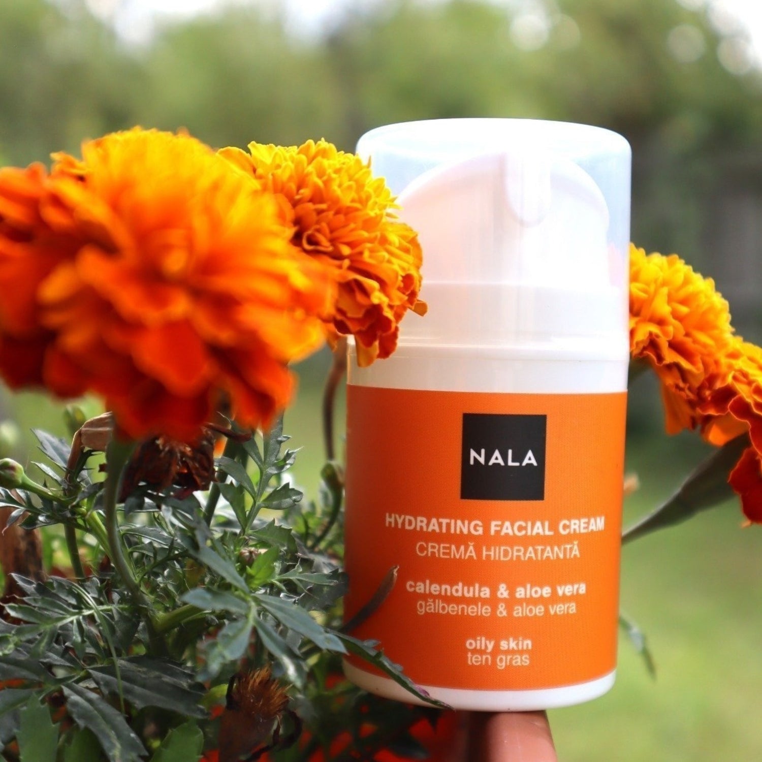 Crema Facial Matificante - Piel Grasa - Caléndula y Aloe Vera