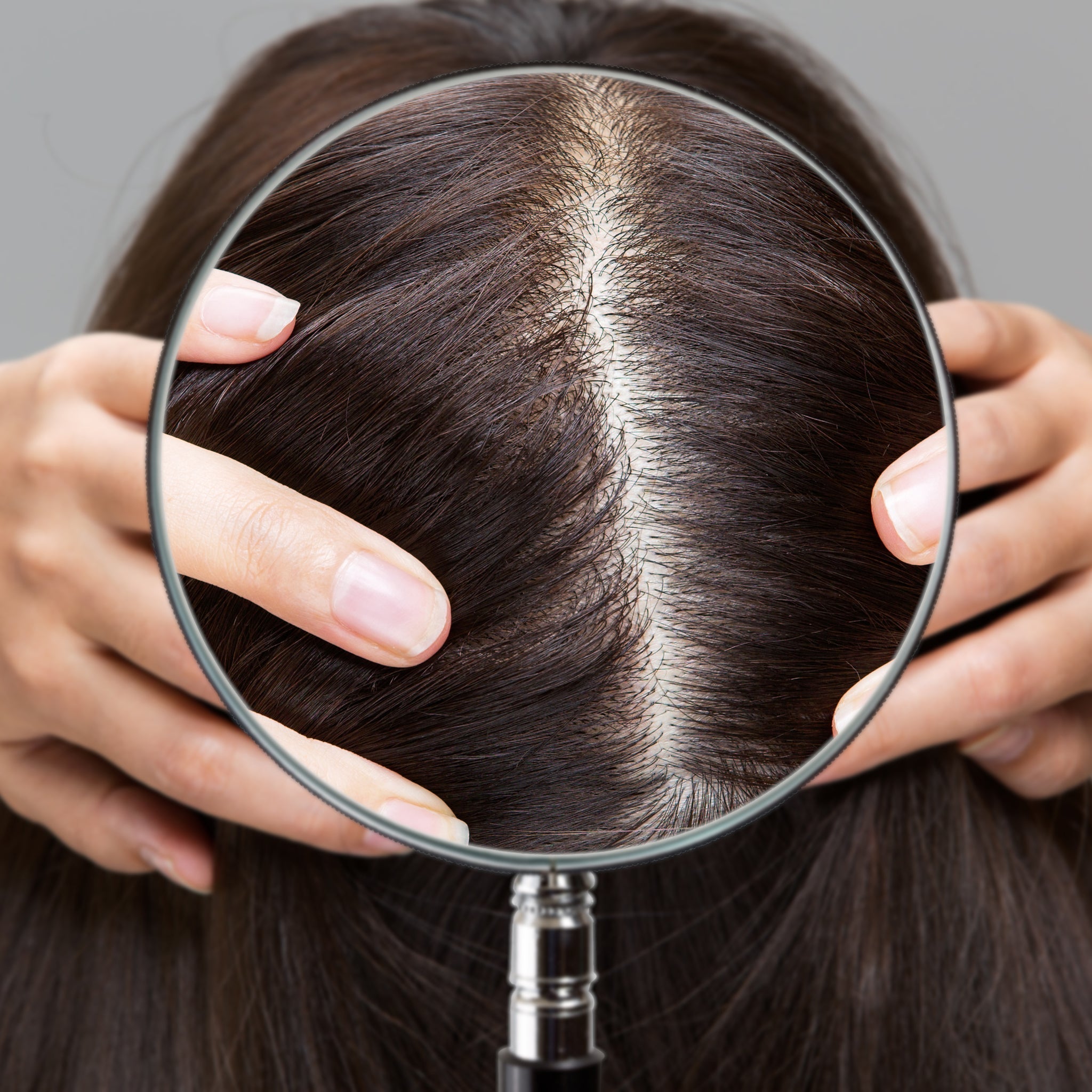 Tratamiento para el cuero cabelludo Healthy Roots - Menta silvestre, miel y agua de rosas