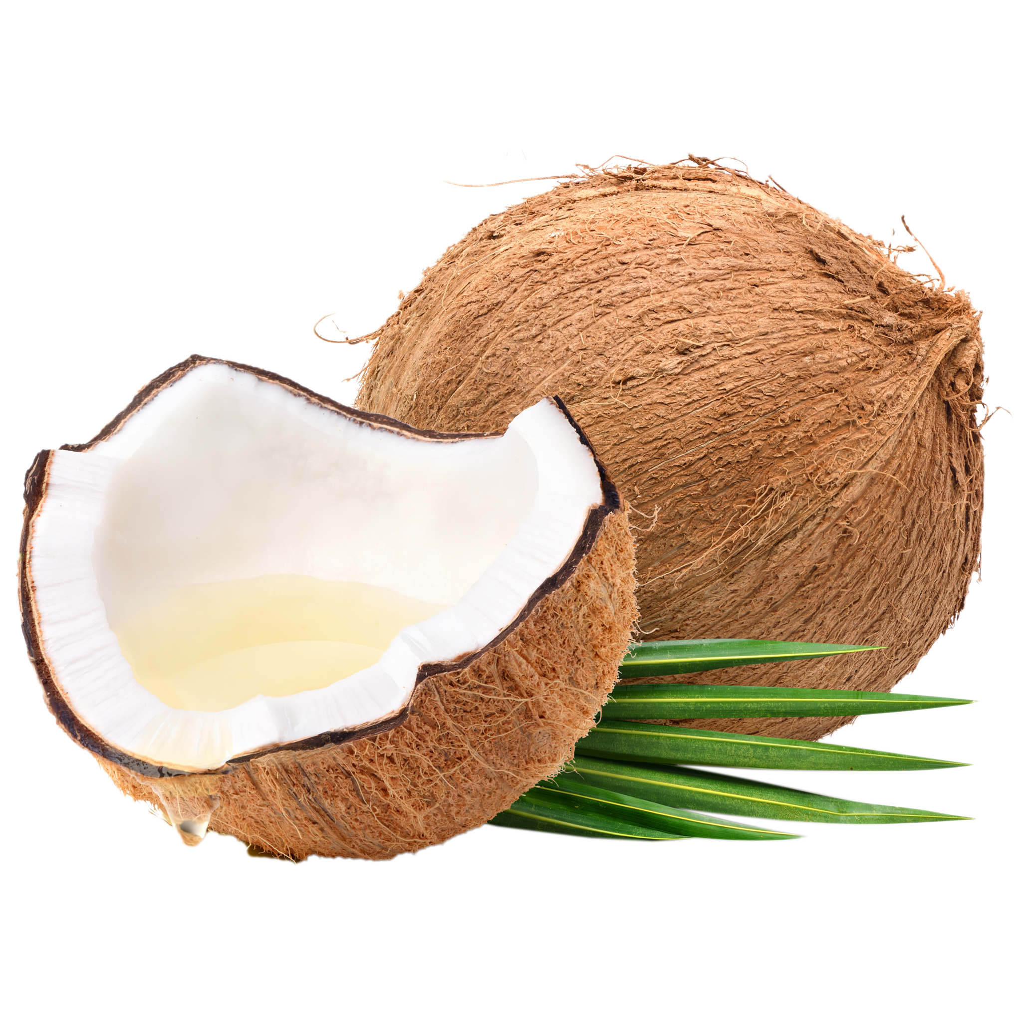 Aceite de coco
