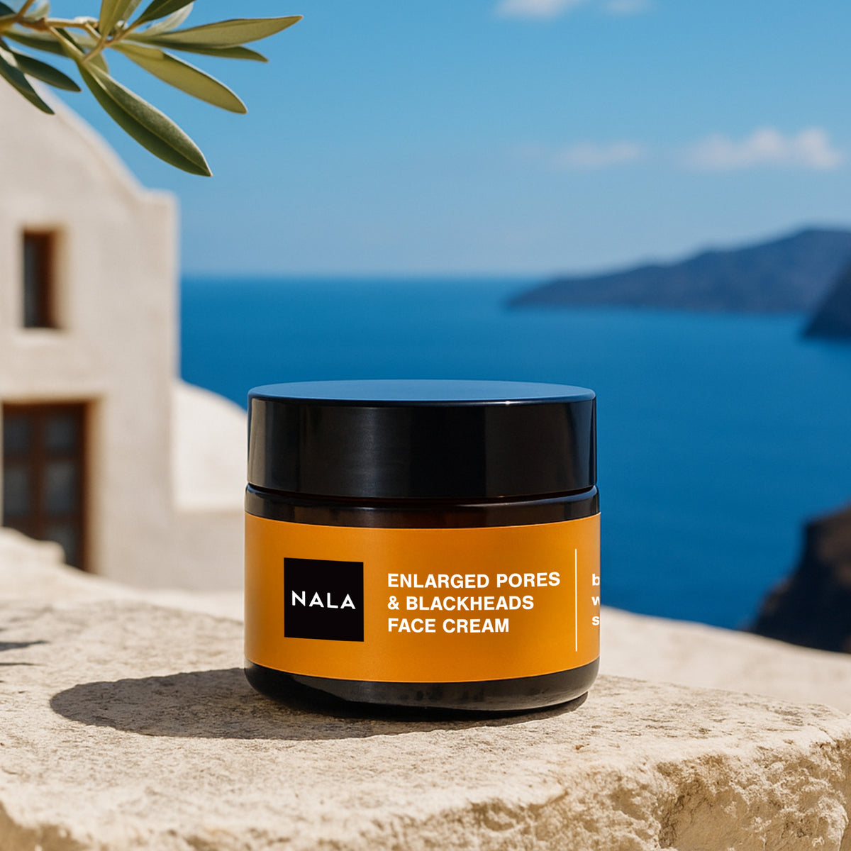 Crema Poros Dilatados & Puntos Negros – Piel Mixta – Carbón de Bambú, Ácido Salicílico y Extracto de Hamamelis