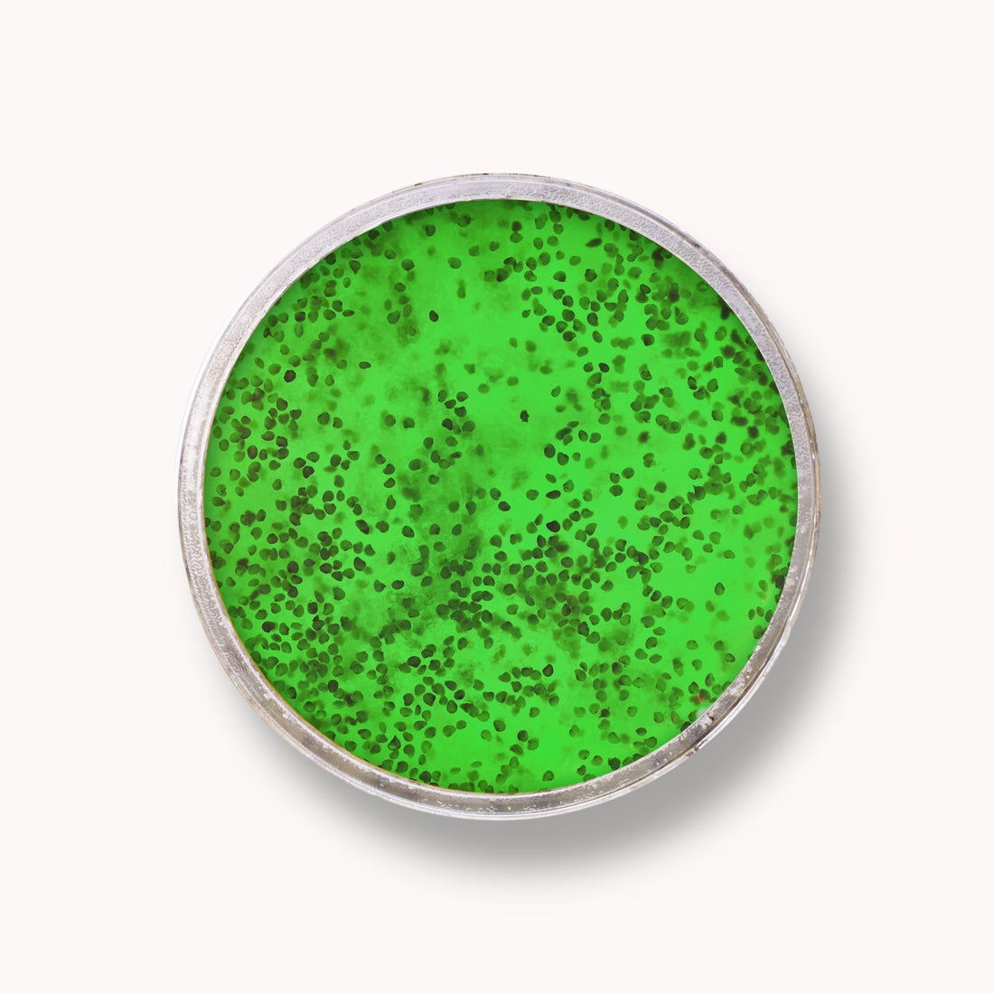 Exfoliante de Jalea de Azúcar - Kiwi