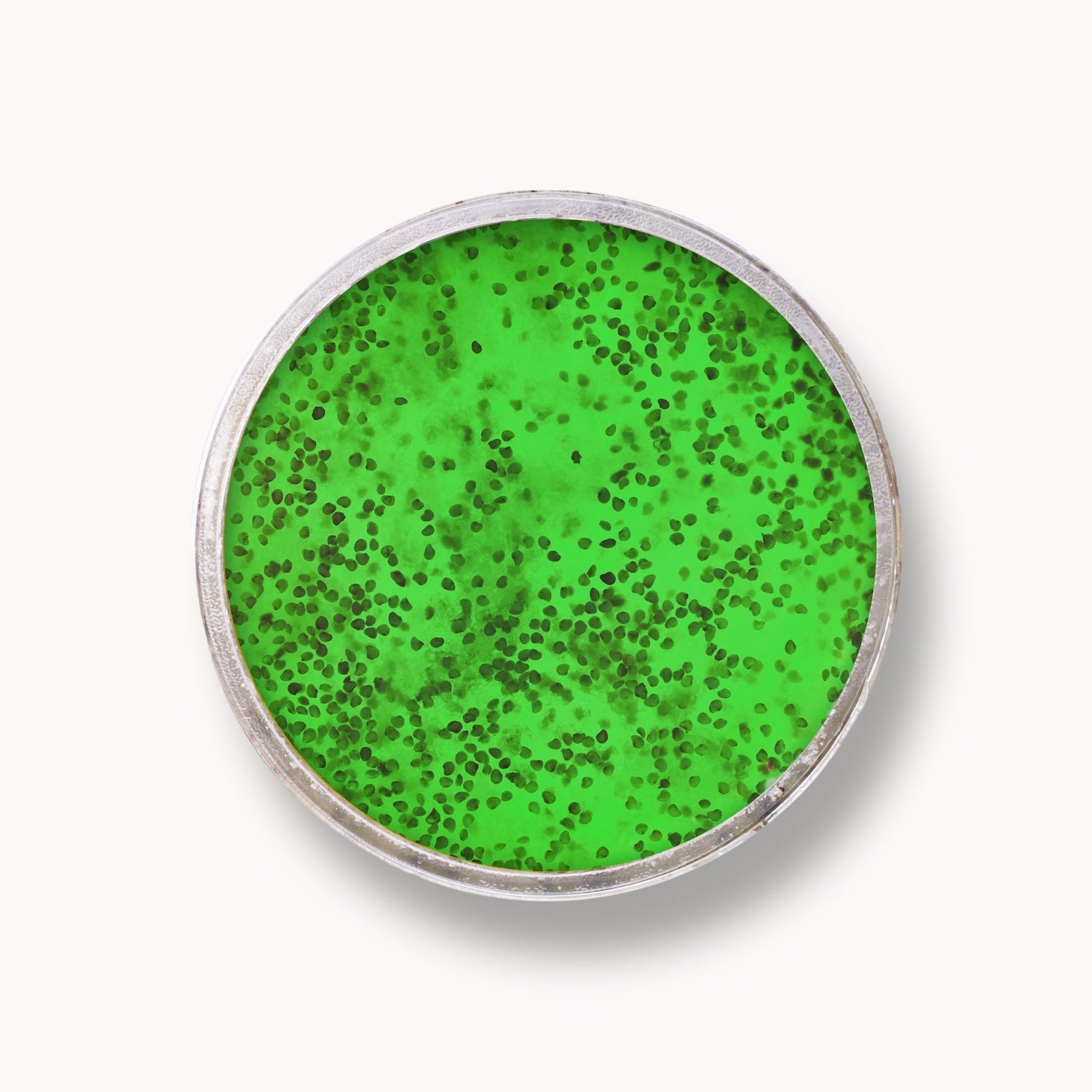 Exfoliante de Jalea de Azúcar - Kiwi
