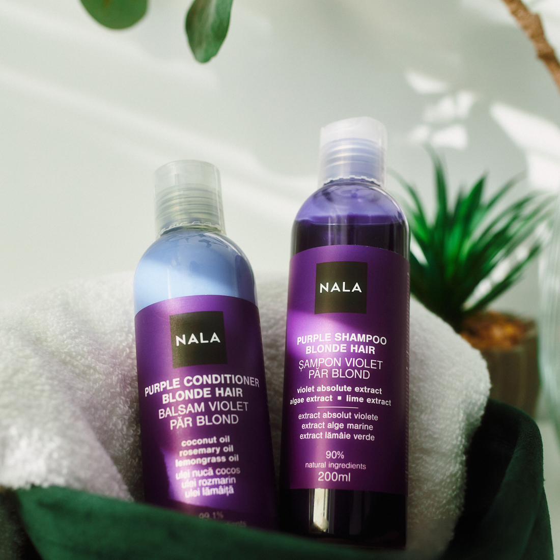 Set de cuidado para cabello rubio Violeta